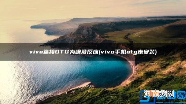 vivo连接OTG为啥没反应 vivo手机otg未安装