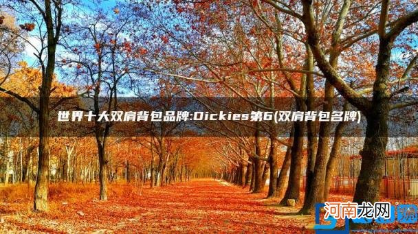 世界十大双肩背包品牌:Dickies第6 双肩背包名牌