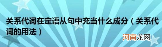 关系代词的用法 关系代词在定语从句中充当什么成分