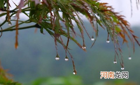 烧开的雨水可以煮饭吗