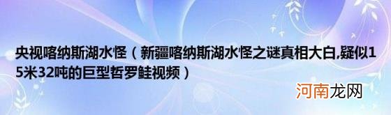 央视喀纳斯湖水怪（新疆喀纳斯湖水怪之谜真相大白 疑似15米32吨的巨型哲罗鲑视频）