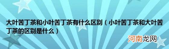 小叶苦丁茶和大叶苦丁茶的区别是什么 大叶苦丁茶和小叶苦丁茶有什么区别