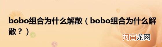 bobo组合为什么解散？ bobo组合为什么解散