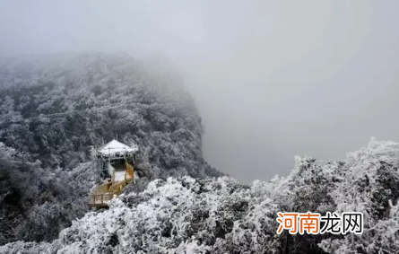 重庆的冬天冷吗一般在多少度