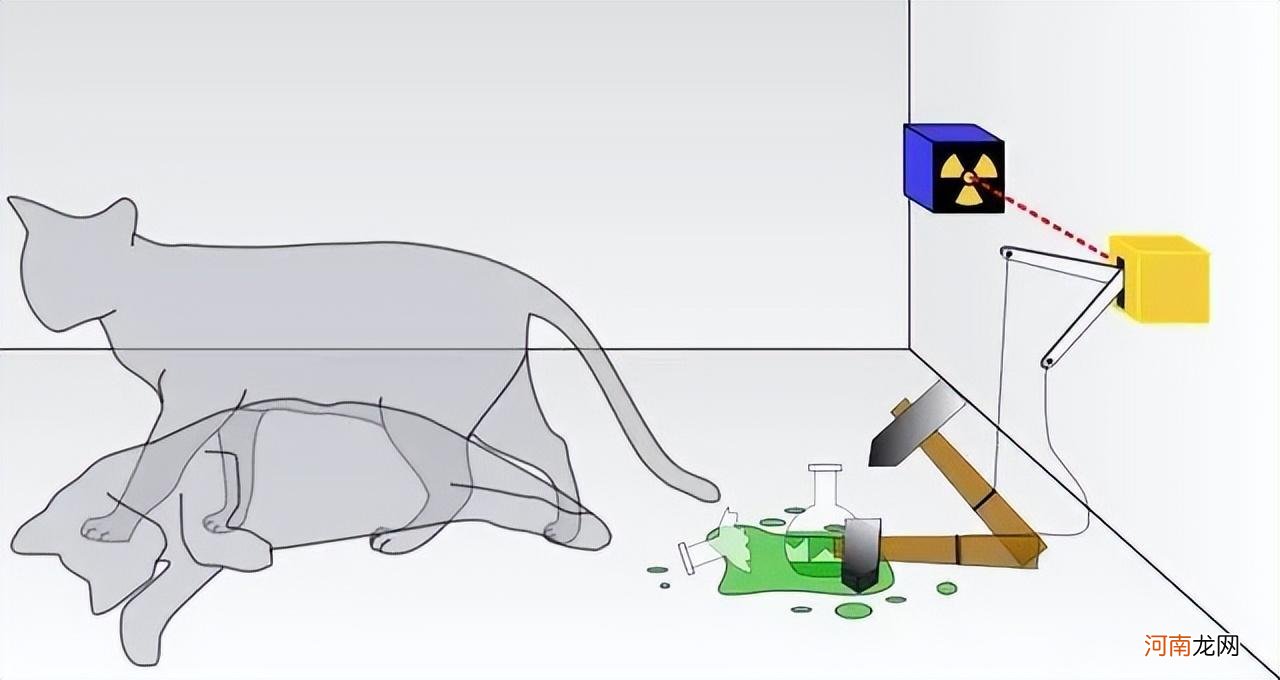 薛定谔的猫比喻什么 薛定谔的猫是什么意思