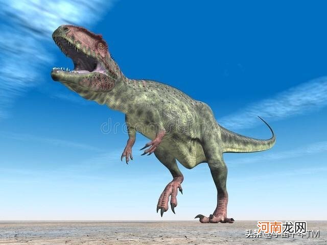 恐龙的祖先是什么东西 恐龙的祖先是什么