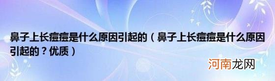 鼻子上长痘痘是什么原因引起的？优质 鼻子上长痘痘是什么原因引起的