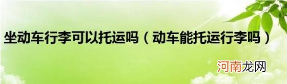 动车能托运行李吗 坐动车行李可以托运吗