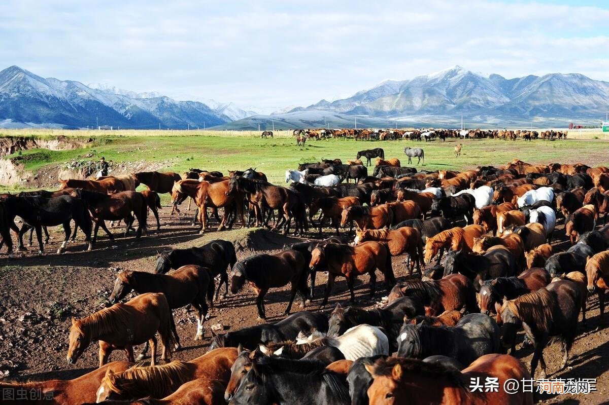 甘肃最美的10个风景 甘肃旅游必去十大景点