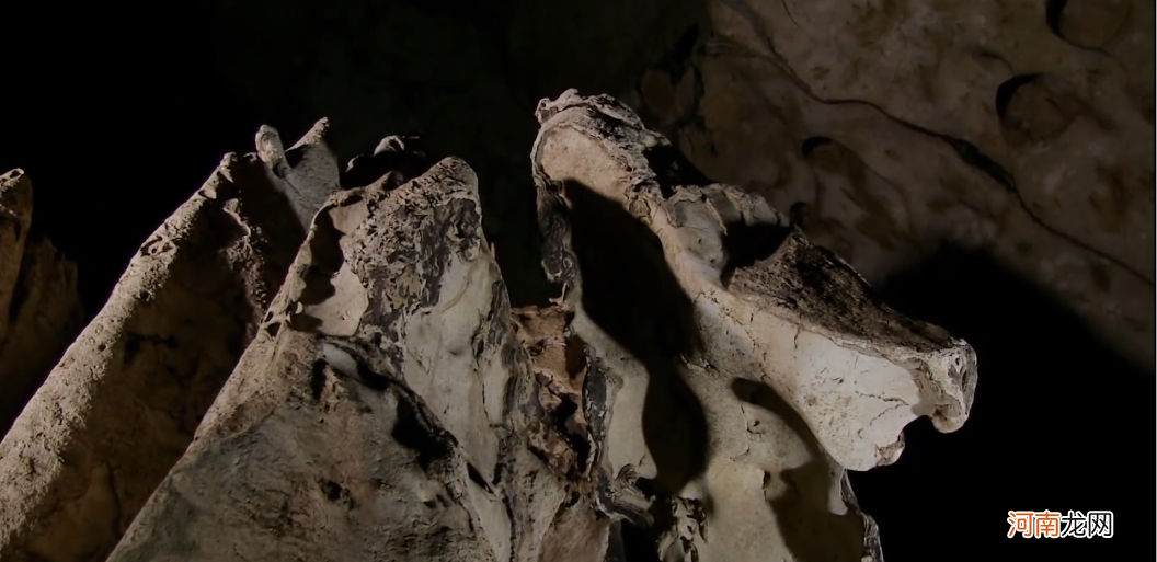 千年古洞寻找野生金丝燕窝 燕窝一斤大概多少钱