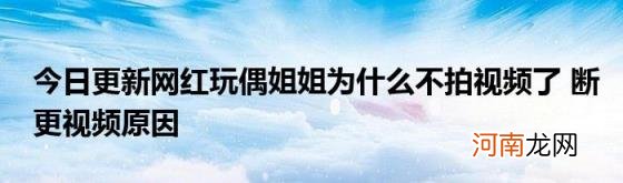 今日更新网红玩偶姐姐为什么不拍视频了断更视频原因