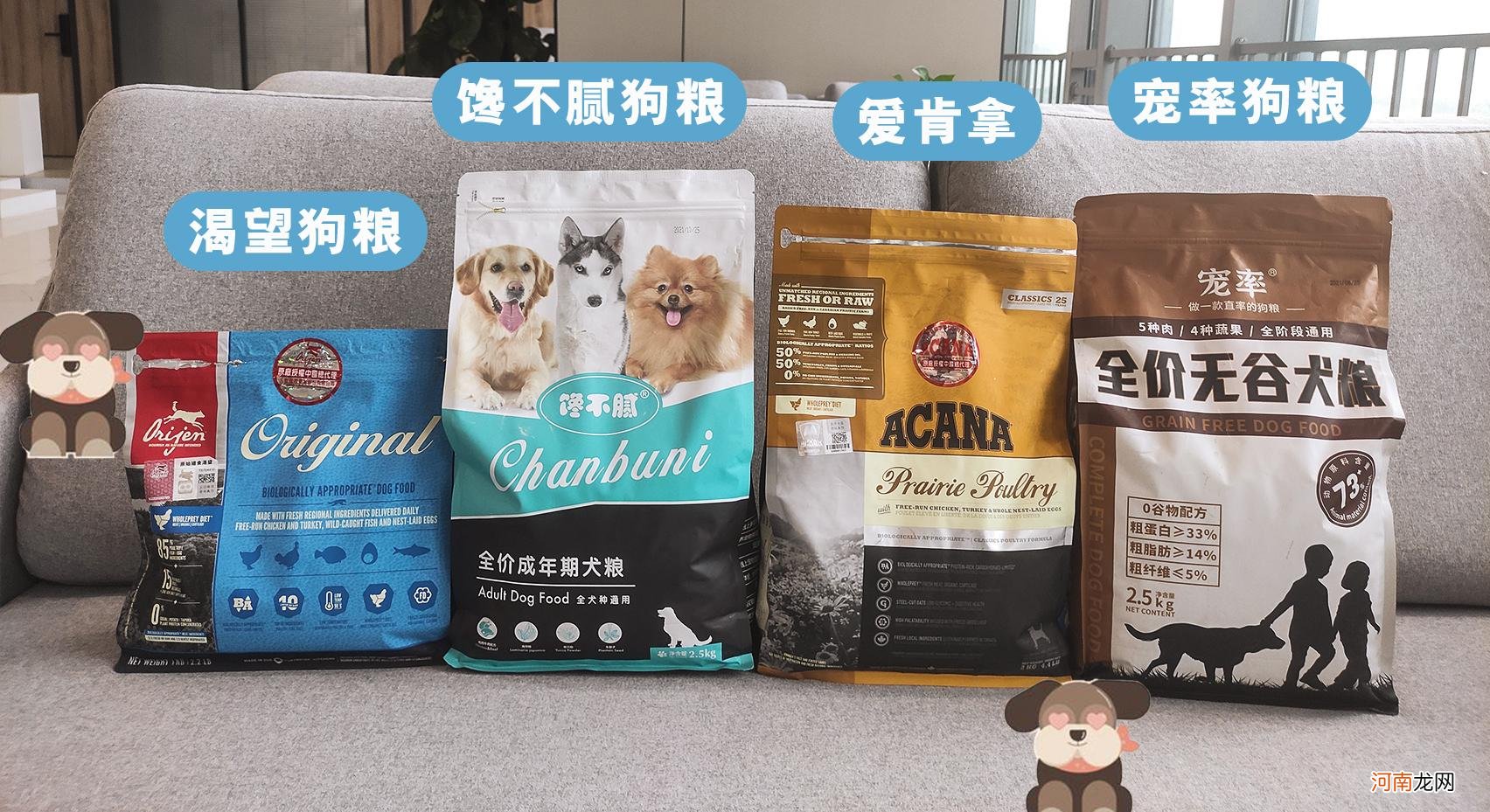 养一只萨摩耶每个月需要花多少钱 萨摩耶犬多少钱一只