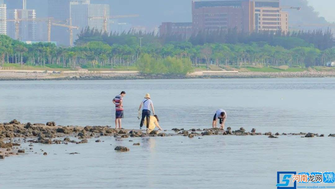 深圳10个海边沙滩 深圳有什么好玩的