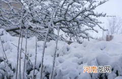 2021年大雪是在冬天第几个节气