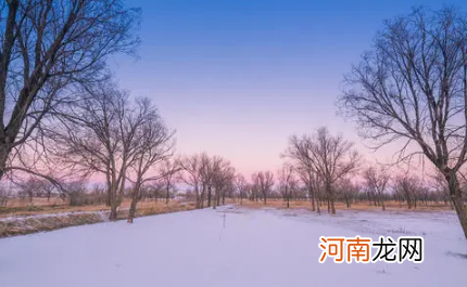 小雪大雪冷还是小寒大寒冷