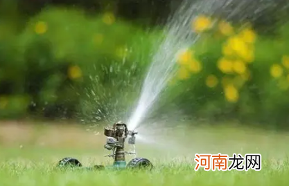 葡萄冬灌水量怎么把控