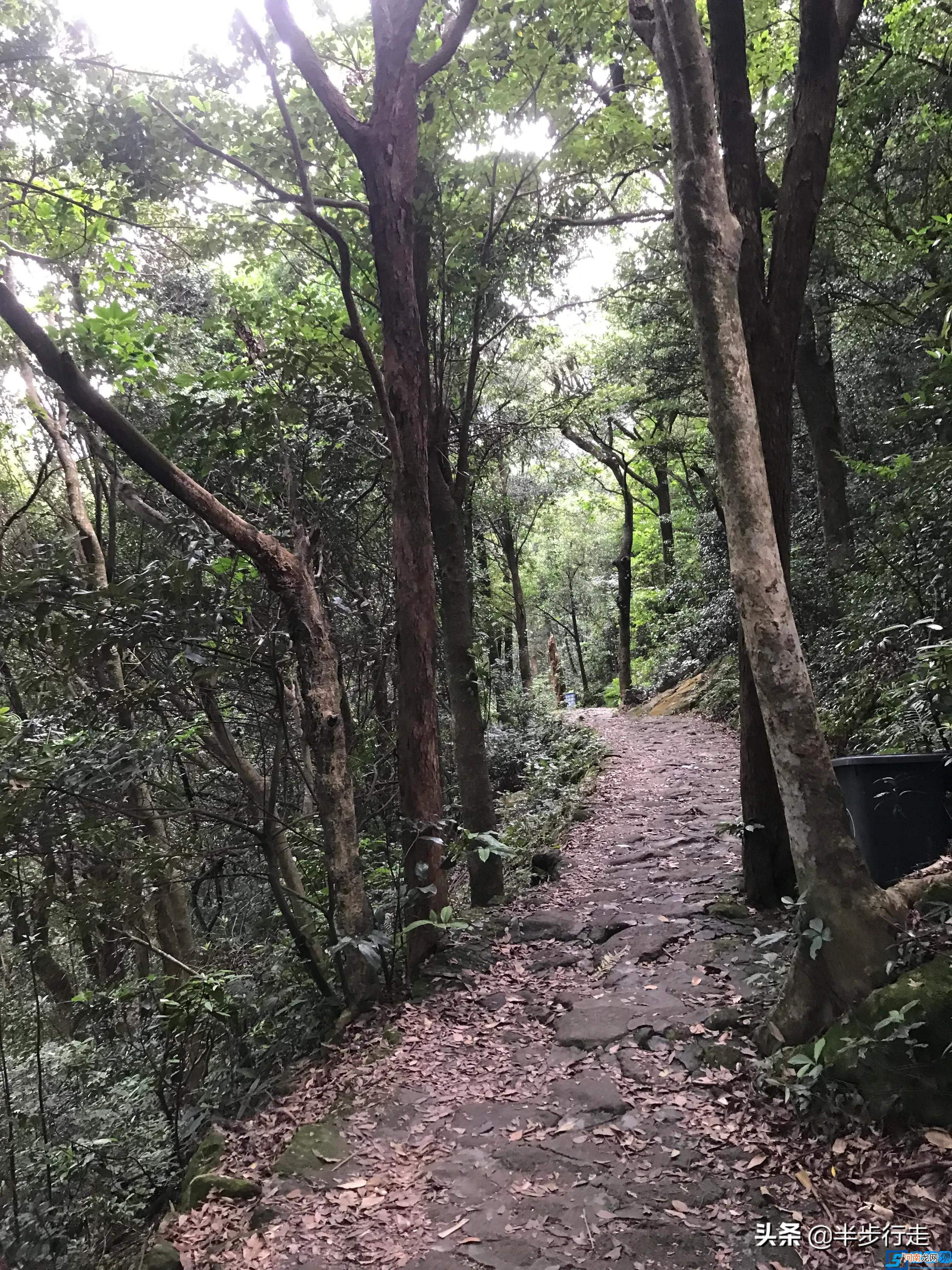 徒步爬山分享 罗浮山风景区旅游攻略