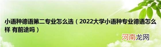 2022大学小语种专业德语怎么样有前途吗 小语种德语第二专业怎么选