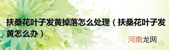 扶桑花叶子发黄怎么办 扶桑花叶子发黄掉落怎么处理