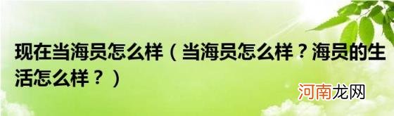 当海员怎么样?海员的生活怎么样? 现在当海员怎么样