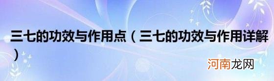 三七的功效与作用详解 三七的功效与作用点