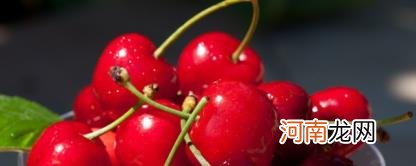 智利车厘子能保存多久