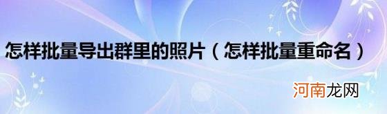 怎样批量重命名 怎样批量导出群里的照片