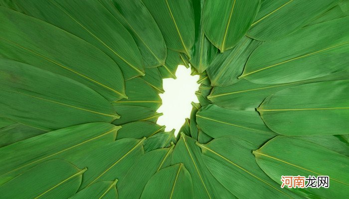 粽子叶煮多长时间好 粽子叶要煮多长时间