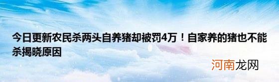 今日更新农民杀两头自养猪却被罚4万！自家养的猪也不能杀揭晓原因