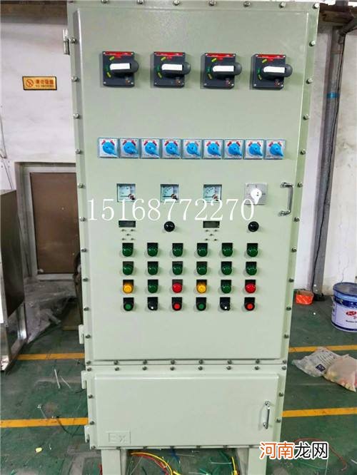 粉尘防爆控制柜 粉尘防爆控制柜图片