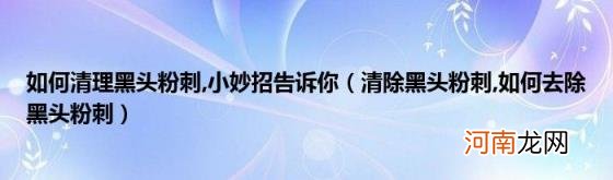 清除黑头粉刺,如何去除黑头粉刺 小妙招告诉你(如何清理黑头粉刺)