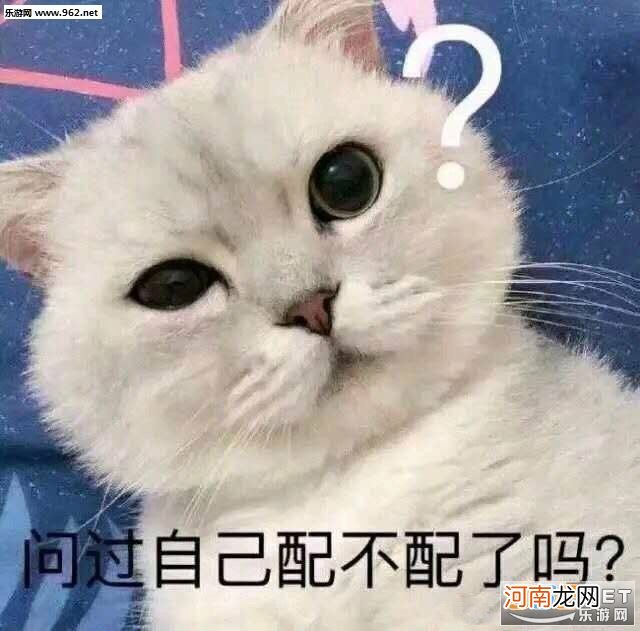 而是配不配 不配和配不上的区别