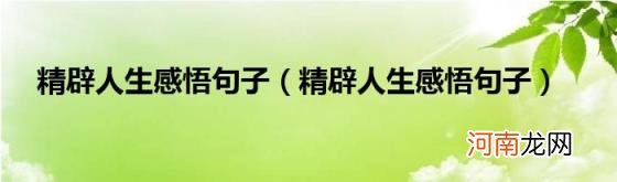 精辟人生感悟句子 精辟人生感悟句子