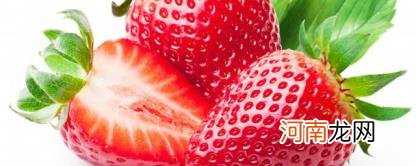 草莓怎么保存不会破皮