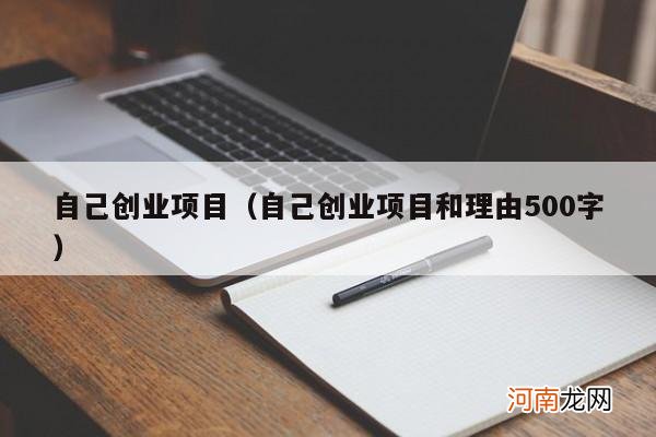 自己创业项目和理由500字 自己创业项目