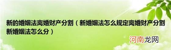 新婚姻法怎么规定离婚财产分割新婚姻法怎么分 新的婚姻法离婚财产分割