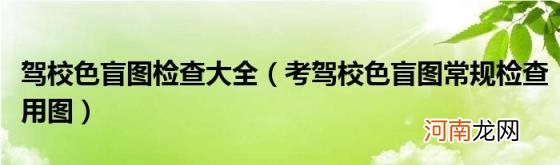 考驾校色盲图常规检查用图 驾校色盲图检查大全