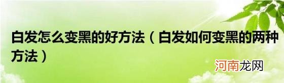 白发如何变黑的两种方法 白发怎么变黑的好方法