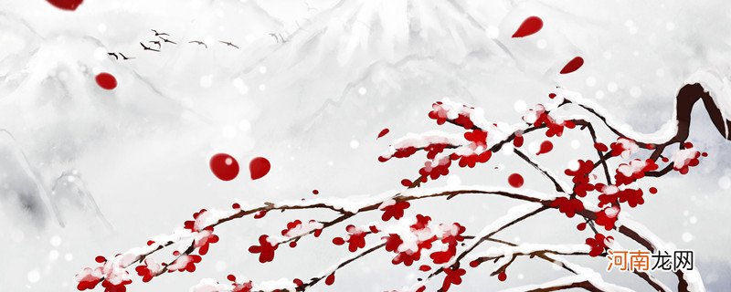 海南十大赏花胜地 海南哪里可以赏花