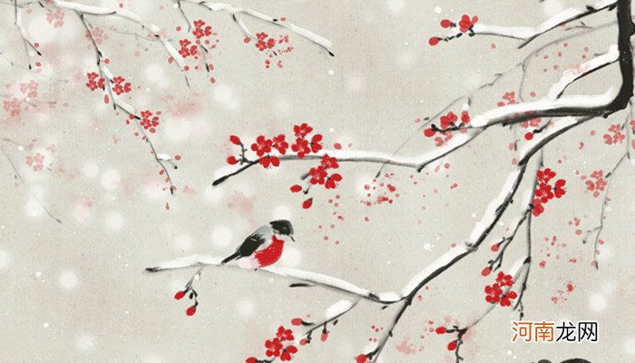 海南十大赏花胜地 海南哪里可以赏花