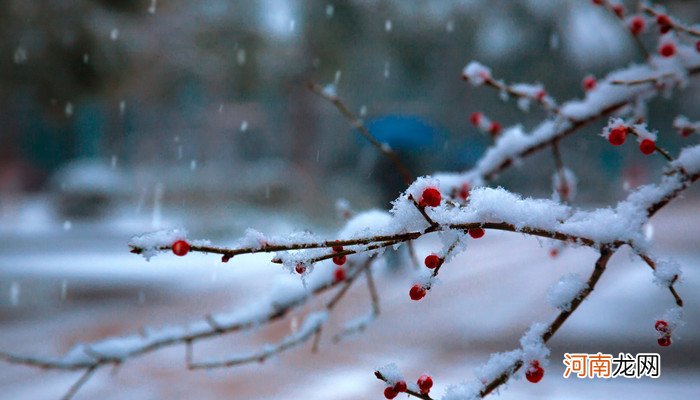 海南十大赏花胜地 海南哪里可以赏花