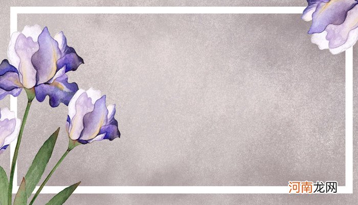 云南十大赏花胜地 云南哪里可以赏花