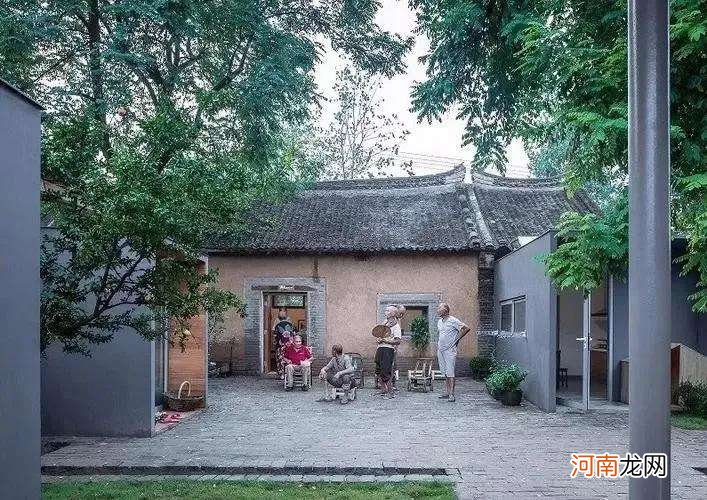 解梦杏树 解梦杏树都是杏