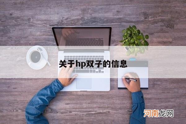 关于hp双子的信息