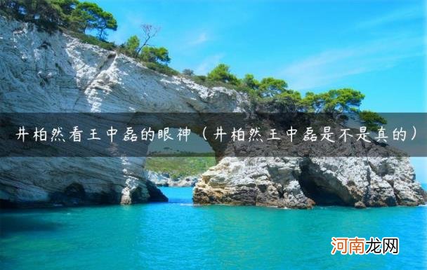 井柏然王中磊是不是真的 井柏然看王中磊的眼神