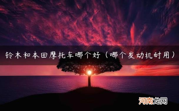 哪个发动机耐用 铃木和本田摩托车哪个好