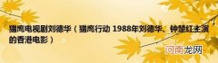 猎鹰行动1988年刘德华、钟楚红主演的香港电影 猎鹰电视剧刘德华
