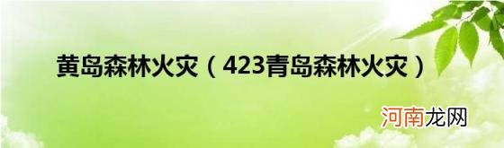 423青岛森林火灾 黄岛森林火灾