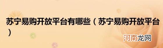 苏宁易购开放平台 苏宁易购开放平台有哪些