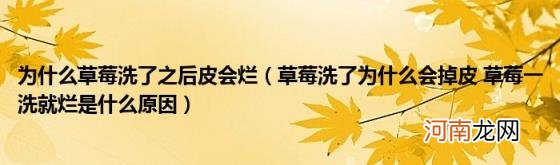 草莓洗了为什么会掉皮草莓一洗就烂是什么原因 为什么草莓洗了之后皮会烂